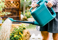 Meilleures ventes Bouilloire pour le jardinage domestique Arrosoir à long bec pour fleurs et légumes Seau pour vaporisateur