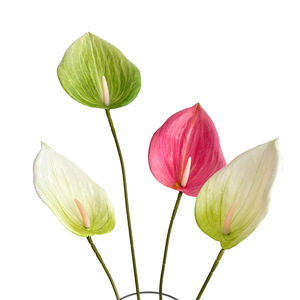 Flor Artificial de Anturio, Rama Individual, PVC Suave, Alta Simulación, Estilo Tropical, Decoración para Bodas - Product Image 5