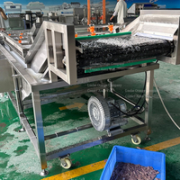 Système continu de convoyeur automatique 3 mètres 4 mètres 5 mètres 6 mètres SUS304 Machine à laver les fraises fraîches à bulles d'eau