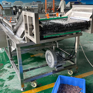 Système continu de convoyeur automatique 3 mètres 4 mètres 5 mètres 6 mètres SUS304 <span class=keywords><strong>Machine</strong></span> à <span class=keywords><strong>laver</strong></span> les fraises fraîches à bulles d'eau - Product Image 5