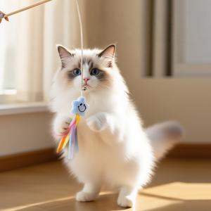 Fabricants Canne à pêche Canne à pêche en bois Menthe Ruban Poisson Teasing Cat Rod Cat Teasing Toys - Product Image 4