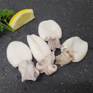Sepia congelada capturada en estado salvaje, mayorista a granel, exportador de mariscos, suministro de fábrica de procesamiento de cefalópodos IQF Premium en todo el mundo - Product Image 2