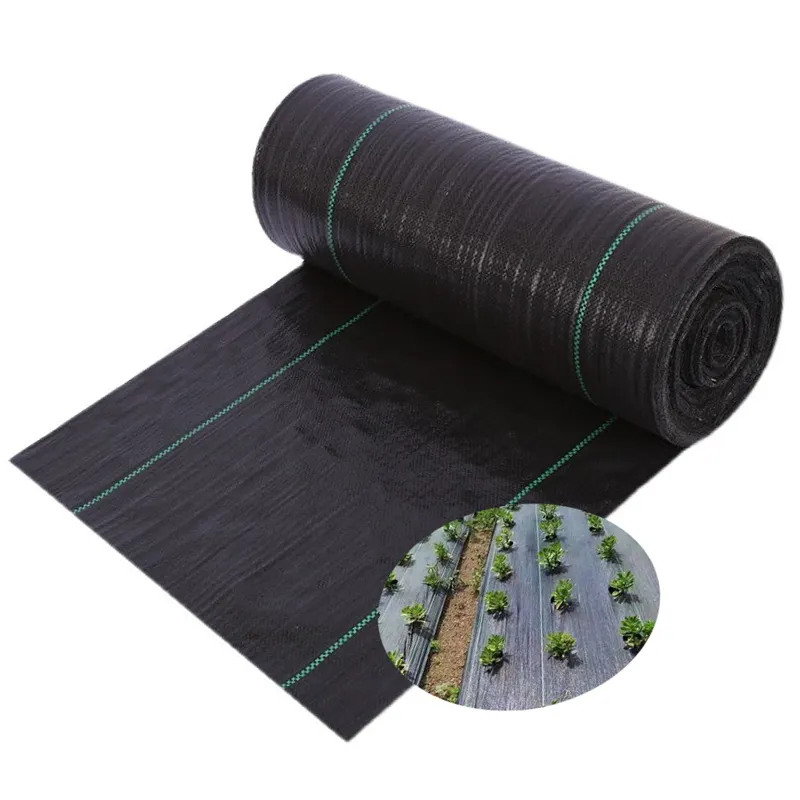 Bán buôn polypropylene chống Weed kiểm soát Vải polypropylene Weed Mat nông nghiệp che phủ mặt đất PP mặt đất Weed Mat cho trang trại