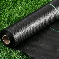 Toile anti-mauvaises herbes en PP tissé durable, longueur et largeur personnalisables, offrant une mise en place flexible pour les projets de lutte contre les adventices dans les terres agricoles