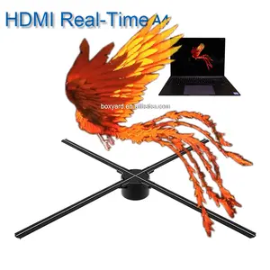 Dsee-65HD A4 Real-Time Holografische Display 3D Afspelen Ventilator Met Hdml Poort En Hologram Animatie Design Service