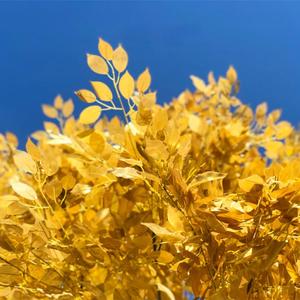 Su misura autunno piante dorate fiore di <span class=keywords><strong>ciliegio</strong></span> grandi alberi di Banyan albero artificiale grande per interni alberghi all'aperto centri commerciali - Product Image 4