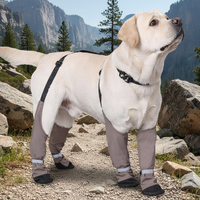 Bottes réglables et mignonnes pour chien avec bretelles, idéales pour Halloween, Noël, l'hiver, la neige, la pluie, la randonnée, protection des pattes, pour la marche en extérieur, imperméables