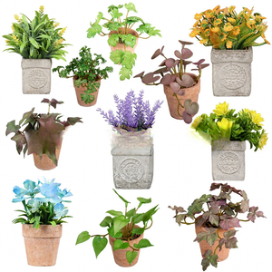 Planta Artificial de Plástico, Mini Suculenta Artificial DIY, Tallo de Rosa Blanca y <span class=keywords><strong>Echeveria</strong></span> para Decoración del Hogar en Navidad y Día de la Madre - Product Image 1