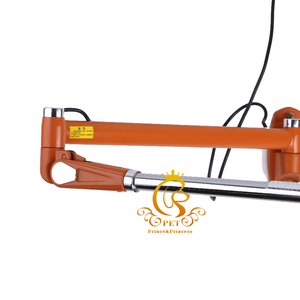 Sèche-cheveux pour animaux de compagnie EUR PET, écologique et luxueux, pour petits animaux et chiens, température réglable, souffleur multifonctionnel - Product Image 6