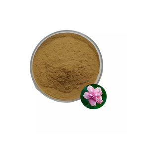Poudre d'extrait botanique de Dolichos Biflorus de qualité supérieure, séchée par atomisation, pour applications alimentaires et phytothérapeutiques, approvisionnement en vrac - Product Image 2