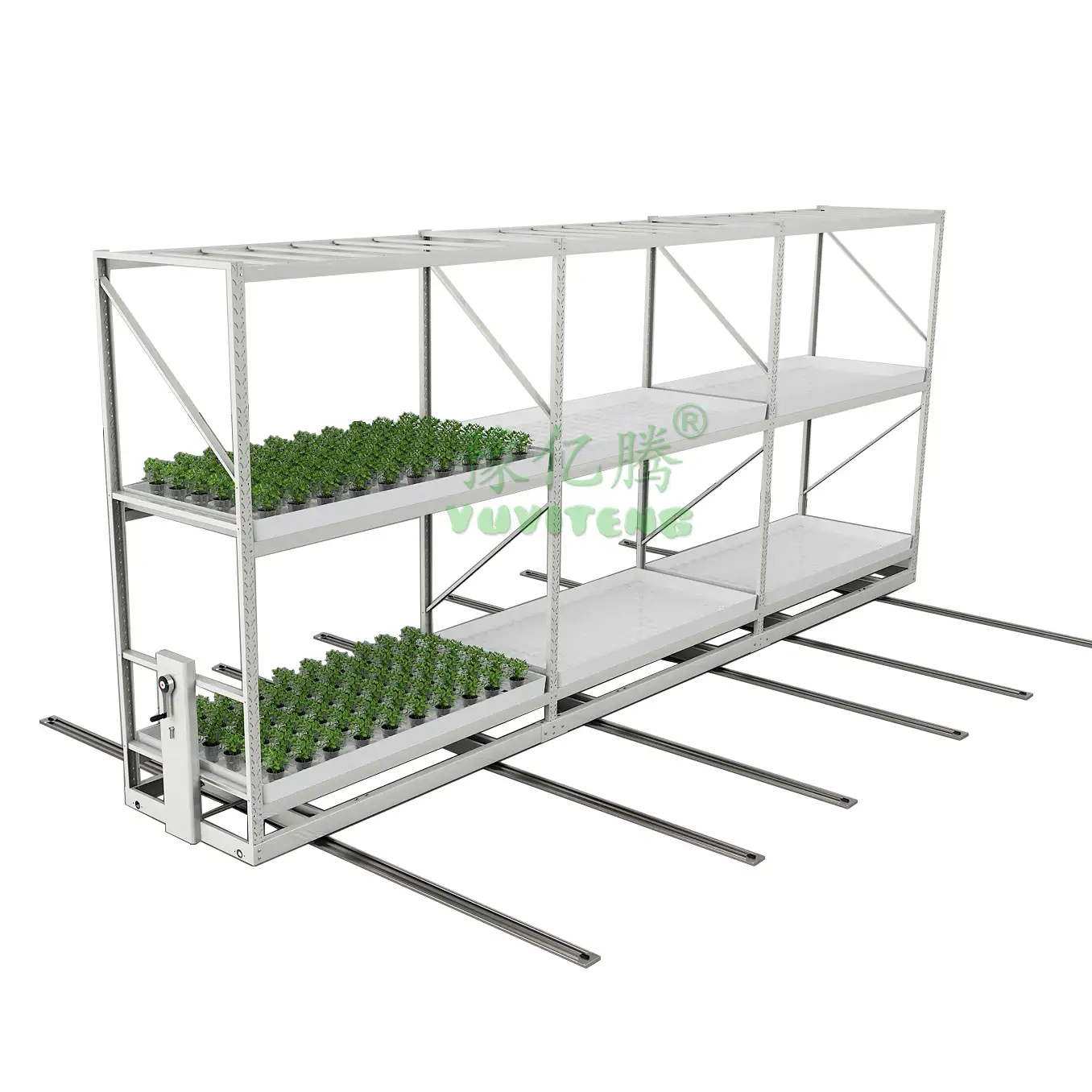 Microgreen verticale idroponica indoor mobile coltiva la cremagliera