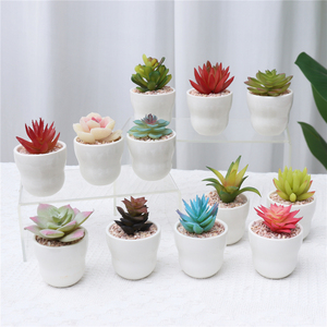 กระถางสีขาวปลูกพืชเทียมขนาดเล็กสำหรับตกแต่งโต๊ะในบ้าน - Product Image 1