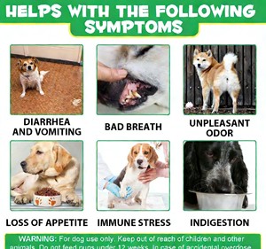 Probióticos para Perros: Golosinas Digestivas, Masticables Prebióticos con Enzimas de Calabaza para la Salud Intestinal, Alivia la Diarrea y el Mal Aliento, Seguro para Peces y Otros Animales - Product Image 2