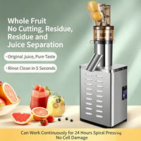 Extracteur de jus industriel en acier inoxydable, puissance 750W, capacité 5L, fonctionnement silencieux, éjection automatique des pulpes, grille