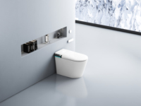 Toilette intelligente avec télécommande Chauffage instantané du siège Veilleuse douce S-Trap P-Trap Drainage Pattern