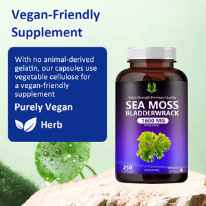 OEM ODM 1600MG Cápsulas de musgo de mar extra fuertes con Bladderwrack Mejorar el sistema inmunológico y promover la salud digestiva para adultos - Product Image 3