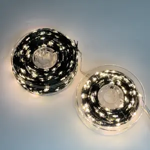50M 100M LED uzun fiş LED gümüş tel dize ışıkları 8 modları adaptörü ile işletilen