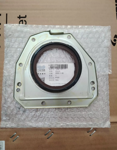 06 h103171f 06 k103171a 06 k103171e 06 k103171g guarnizione dell'albero a gomiti per A3 A4 A5 A6 A8 A8L Q3 Q5 S4 S5 TT - Product Image 1