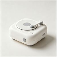Lecteur de disques vinyles portable miniature pour la maison avec enregistreur de photos personnalisées VHS et DVD en promotion, phonographe, gramophone, tourne-disque