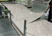 Panneau mural en plastique à impression numérique marbrée, alternative au marbre UV, panneaux PVC pour hôtel, imperméables, faible entretien, pour la décoration