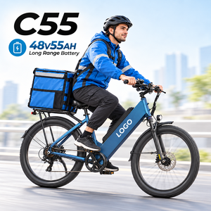 จักรยานไฟฟ้าบรรทุกสินค้า C55 48V 55AH ยางใหญ่ ระบบกันสะเทือนหน้า เบรกดิสก์ มอเตอร์ดุมล้อหลัง จักรยานไฟฟ้าส่งของ - Product Image 1