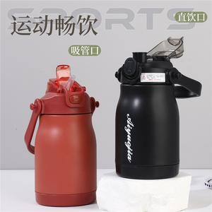 Bouteille d'eau sportive Alyugia 500 ml en acier inoxydable réutilisable avec paille et embout pour boire directement, idéale pour le fitness - Product Image 1