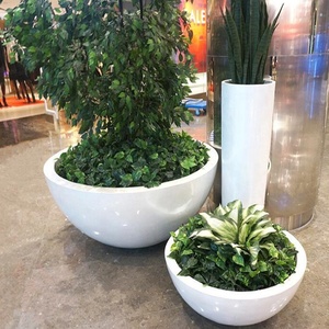 אגרטל עגול לפרחים צמחים לבן אדניות קטנות באיכות טובה עציצים לעיצוב - Product Image 5