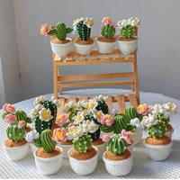 Nouvelle plante en pot miniature artisanale au crochet, style bohème, pour décoration intérieure, idéale pour les cadeaux de remise de diplôme, de fêtes et d'anniversaires