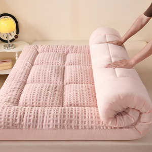 Nouveau matelas coussin multifonctionnel en duvet d'oie et velours, qualité A, toutes saisons, <span class=keywords><strong>sortie</strong></span> d'usine 2026 - Product Image 4