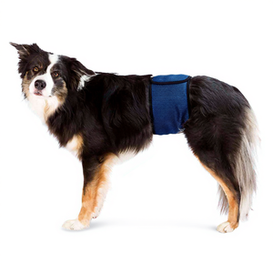 Bande Abdominale pour Chien Mâle XL 6575 Cm Bleu Foncé Couche pour Animaux de Compagnie - Product Image 2