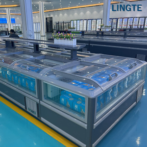 Congelador Comercial de Alta Calidad para Almacenamiento de Carne, 1200L, Descongelación Automática - Product Image 5