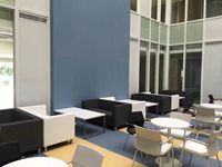 Chaise de visiteur pivotante moderne avec structure métallique et dossier croisé pour la maison, le bureau, la clinique et l'hôpital