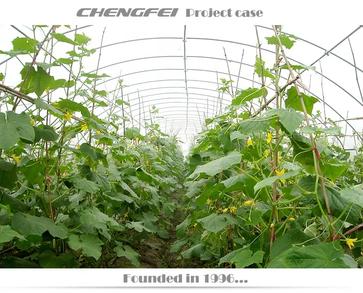 温室植物種子プラスチック農業用トンネル