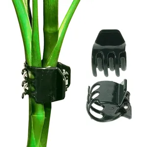 Clip per piante da giardino all'ingrosso clip per staffa per vivaio clip per orchidee a farfalla in plastica nera marrone verde
