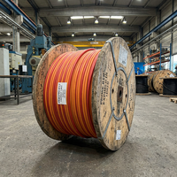 Câble flexible isolé minéral PRIMEPRO BTLY 0.6/1kV 1x25mm² ignifuge haute précision pour infrastructures critiques et gratte-ciel