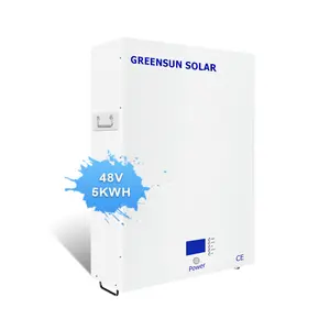 Nhà Cung Cấp Trung Quốc Trẻ Em Xe Đạp Pin Xe Máy 48V 100ah Aaa Pin Lithium Lifepo4 Powerwall Pin