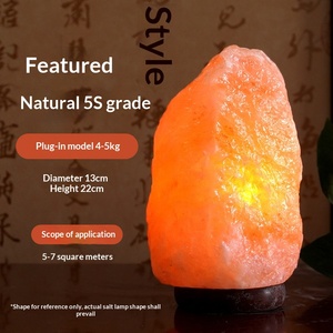 Lámparas <span class=keywords><strong>de</strong></span> Material Orgánico al por Mayor, Lámparas <span class=keywords><strong>de</strong></span> Roca Mineral Natural, Lámparas <span class=keywords><strong>de</strong></span> Mesa <span class=keywords><strong>de</strong></span> Cristal Tallado, Lámparas <span class=keywords><strong>de</strong></span> Noche <span class=keywords><strong>de</strong></span> Ambiente Marino - Product Image 3