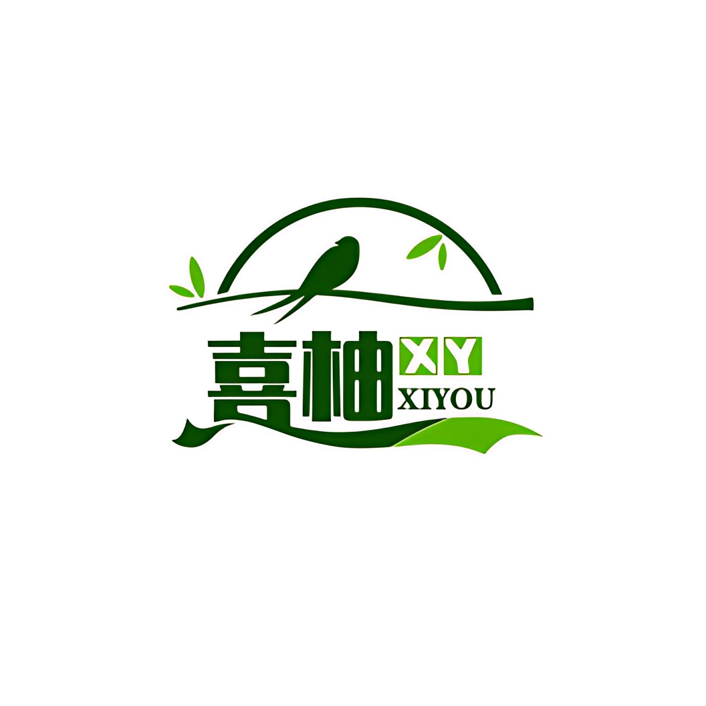 Kunming Xiyou Biotechnology Co., Ltd. logo