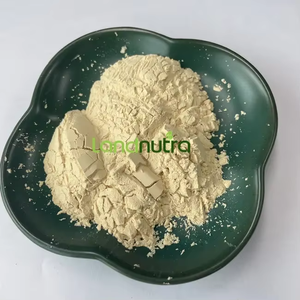 Landnutra thảo mộc tự nhiên chiết xuất 99% Panax <span class=keywords><strong>Ginseng</strong></span> chiết xuất nhân sâm gốc bột nhân sâm <span class=keywords><strong>10</strong></span>%- <span class=keywords><strong>80</strong></span>% ginsenosides - Product Image 1