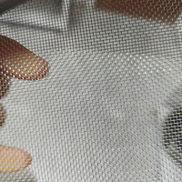Maille tissée en acier inoxydable 304 316, filtre à fil métallique tissé, maille fine 3 10 20 35 250 microns 1mm, maille hollandaise 4x8 8x8 40x40, en feuille