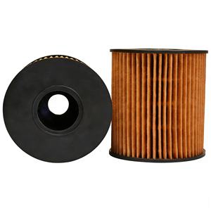 OEM 1109.Z1 HO-BZ002Z pour les modèles 206, 207, 307, 407 et 408, neuf, garantie 1 an - Product Image 3