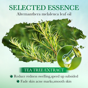 Bán buôn mới chăm sóc da mặt Hydrocolloid mụn trứng cá mụn, cây trà nhanh chóng diễn xuất mụn trứng cá vá 36 cái - Product Image 3