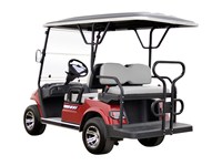 Voiturette de golf électrique 4x4 à 4 places homologuée pour la route avec batterie au lithium 48V