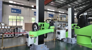 <span class=keywords><strong>Braccio</strong></span> Robotico Industriale per Pallettizzazione con Supporto Remoto di Alta Qualità per Stoccaggio Automatico in Magazzino - Product Image 3