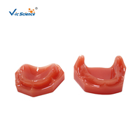 Modelo de mandíbula edéntula completa, modelo de hueso alveolar atrófico superior e inferior para entrenamiento de prótesis dentales completas, CE/ISO/ROHS/CNAS