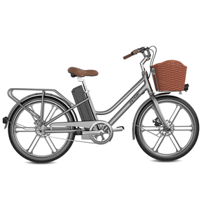 Vélo électrique <span class=keywords><strong>pas</strong></span> <span class=keywords><strong>cher</strong></span> 36V / Vélo électrique urbain 250W / Vélo électrique urbain pour femmes adultes à cadre bas à vendre - Product Image 3