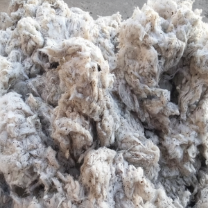 LICKERIN DE COTON-Mme Claire - Product Image 1