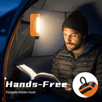Lanterne multifonctionnelle 2 en 1, lumière LED, type C, rechargeable, portable, lampe de camping d'urgence 230