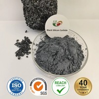 Poudre de carbure de silicium ultrafine à 99 % (240-6000 mesh) pour pâte de polissage, céramiques avancées et traitement des semi-conducteurs