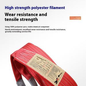 고강도 5톤 산업용 크레인 리프팅 벨트 5~8미터 길이 평면 이중 버클 링 아이 웨빙 슬링 무한 패턴 - Product Image 2